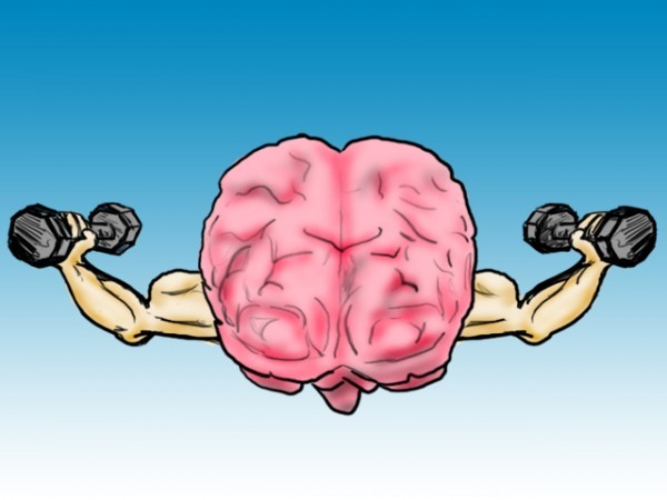 مجموعة توابل و اعشاب لزيادة الذكاء و تحفيز قدرة الدماغ مجموعة توابل و اعشاب لزيادة الذكاء و تحفيز قدرة الدماغ