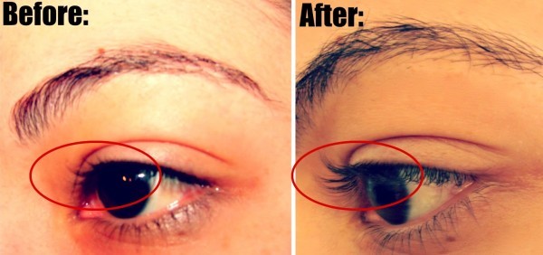 إن كانت رموشك تتساقط إليك كيف تعالجين تساقط الرموش بالمنزل