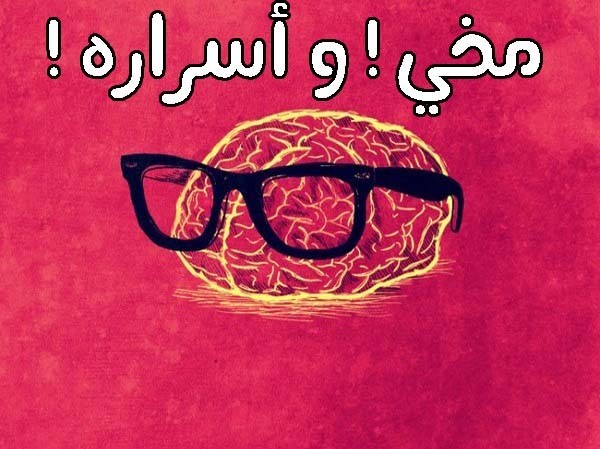 حقائق عن المخ و الذاكرة ! أكتشف ماهي أسرار مخك ودماغك حقائق عن المخ و الذاكرة ! أكتشف ماهي أسرار مخك ودماغك
