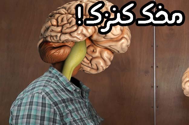 حقائق عن المخ و الذاكرة ! أكتشف ماهي أسرار مخك ودماغك حقائق عن المخ و الذاكرة ! أكتشف ماهي أسرار مخك ودماغك