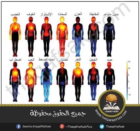 شاهد كيف تؤثر المشاعر على درجة حرارة الجسم ؟ لن تصادق شاهد كيف تؤثر المشاعر على درجة حرارة الجسم ؟ لن تصادق