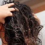 بالصور طريقة عمل بلسم للشعر الجاف والمجهد