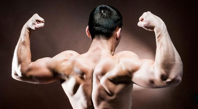 بالصور كيف تبني عضلات الكتف القوية و البارزة