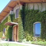 للعُشاق فقط أرق فنادق رومانسية حول العالم