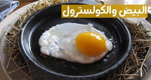 حقيقة العلاقة بين أكل البيض والكولسترول هل فعلا يشكل خطراً ؟ حقيقة العلاقة بين أكل البيض والكولسترول هل فعلا يشكل خطراً ؟