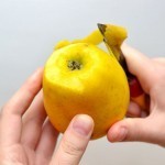 الطعام الصحي للأطفال كيف تحضري المناسب لطفلك قبل الفطام وبعده