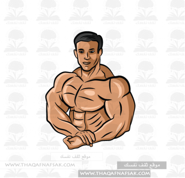 أهم 10 أطعمة مفيدة لبناء العضلات أهم 10 أطعمة مفيدة لبناء العضلات