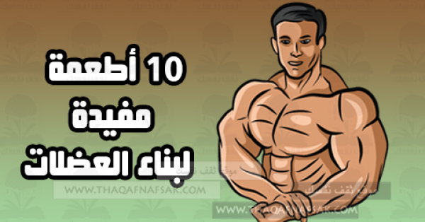 أهم 10 أطعمة مفيدة لبناء العضلات أهم 10 أطعمة مفيدة لبناء العضلات