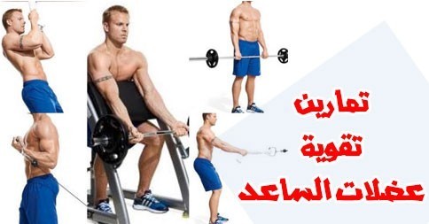 بالصور تمارين تقوية عضلات الساعد بالصور تمارين تقوية عضلات الساعد