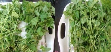 طريقة عمل الخبيزة بالصور طريقة عمل الخبيزة بالصور