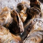 بالصور وصفة عمل شوربة بلح البحر