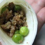 بالصور عمل السمبوسة باللحمة المفرومة