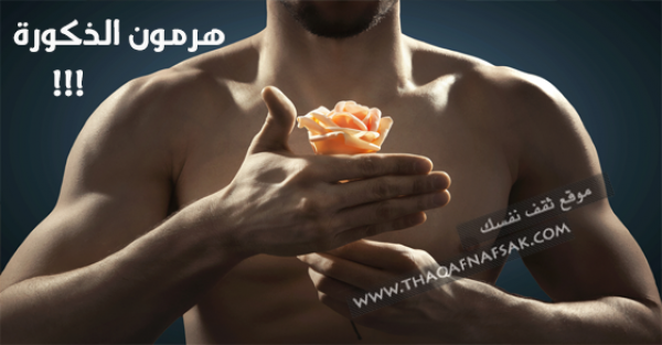 كيف يزيد الشاب هرمون التستوستيرون أو هرمون الذكورة عنده ؟ كيف يزيد الشاب هرمون التستوستيرون أو هرمون الذكورة عنده ؟