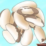 كيف يزيد الشاب هرمون التستوستيرون أو هرمون الذكورة عنده ؟