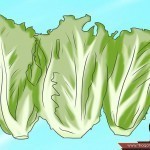 كيف يزيد الشاب هرمون التستوستيرون أو هرمون الذكورة عنده ؟