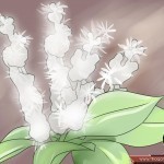 طرق طبيعية لوقف وعلاج غزارة الطمث ليستمر يومك بدون قلق