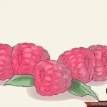 طرق طبيعية لوقف وعلاج غزارة الطمث ليستمر يومك بدون قلق