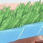 طرق طبيعية لوقف وعلاج غزارة الطمث ليستمر يومك بدون قلق