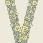 صور و خلفيات حرف v مميزة لكل من يبدأ أسمهم بحرف v