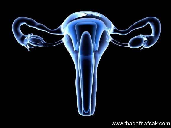 تكيس المبايض أسبابه وعلاجه تكيس المبايض أسبابه وعلاجه