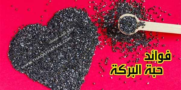 أهم فوائد حبة البركة لصحة الأنسان أهم فوائد حبة البركة لصحة الأنسان