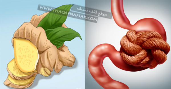 طريقتين لعلاج الم المعدة باستخدام الزنجبيل
