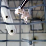 طرق تنظيف غسالة الأطباق