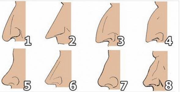 بالصور ماذا يقول شكل أنفك عن شخصيتك ؟