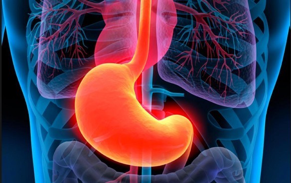 أعراض التهاب المعدة وأسبابه وعلاجه وطرق الوقاية منه أعراض التهاب المعدة وأسبابه وعلاجه وطرق الوقاية منه