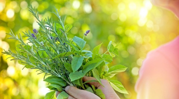 طرق تحفيز وفتح الشهية طبيعيا طرق تحفيز وفتح الشهية طبيعيا