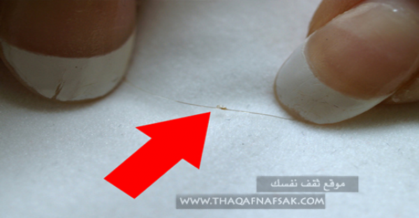 علاج القمل المنتشر في الشعر بوصفات منزلية سهلة