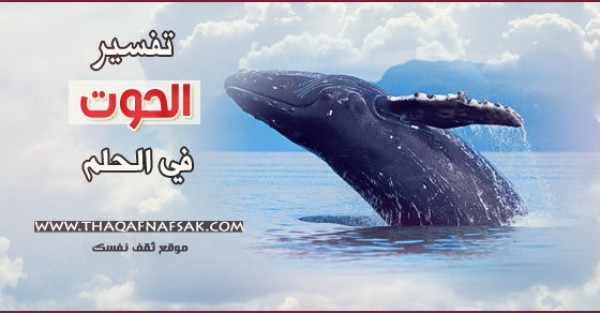 تفسير الحوت في الحلم تفسير الحوت في الحلم