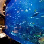 بالصور أجمل الأماكن السياحية في دبي