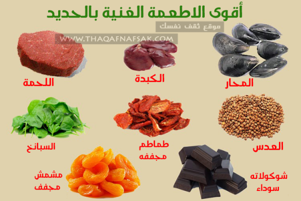 مصادر الحديد الأغنى للجسم أقوى ٤٠ طعام مصادر الحديد الأغنى للجسم أقوى ٤٠ طعام