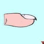 ماذا تقول شكل اظافرك عن شخصيتك وصحتك بالصور ؟