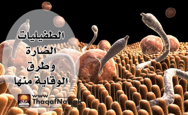الطفيليات الضارة وطرق الوقاية منها الطفيليات الضارة وطرق الوقاية منها