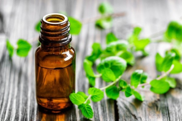فوائد زيت النعناع للصحة والجسم فوائد زيت النعناع للصحة والجسم