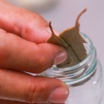 بالصور وصفة الثوم المخلل الأصلية