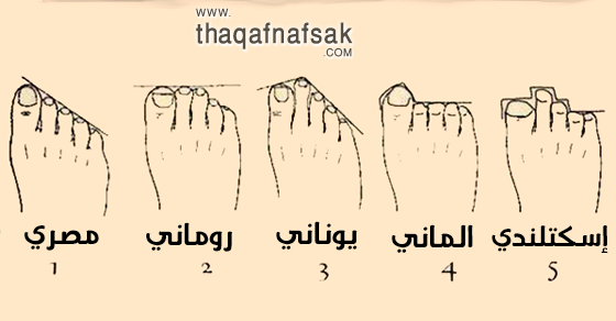 شكل قدمك تخبرك عن أصولك وجذورك شكل قدمك تخبرك عن أصولك وجذورك