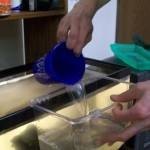 طرق تنظيف حوض السمك بالصور