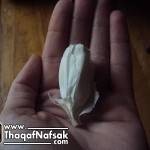 قناع الثوم للبشرة بالصور طريقة عمله + نتائجه