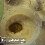 قناع الثوم للبشرة بالصور طريقة عمله + نتائجه