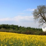 غرفة القمر الكروية “خيمة الشجرة”