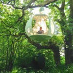 غرفة القمر الكروية “خيمة الشجرة”