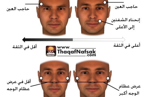 تركيب وجهك له تأثير كبير في رؤية الناس لك تركيب وجهك له تأثير كبير في رؤية الناس لك