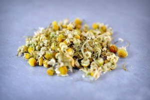 بالصور عمل غسول الشعر الطبيعي بالعسل والبابونج بالصور عمل غسول الشعر الطبيعي بالعسل والبابونج