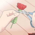 طريقة عمل العطور في المنزل بالصور ٥ طرق متنوعة ذات رائحة جذابة