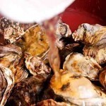 شوربة المحار الصحية بالصور