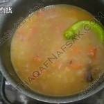 بالصور لسان العصفور المفلفل