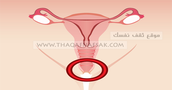 علاج حبوب المهبل طبيعياً ١١ وصفة أجنبية علاج حبوب المهبل طبيعياً ١١ وصفة أجنبية